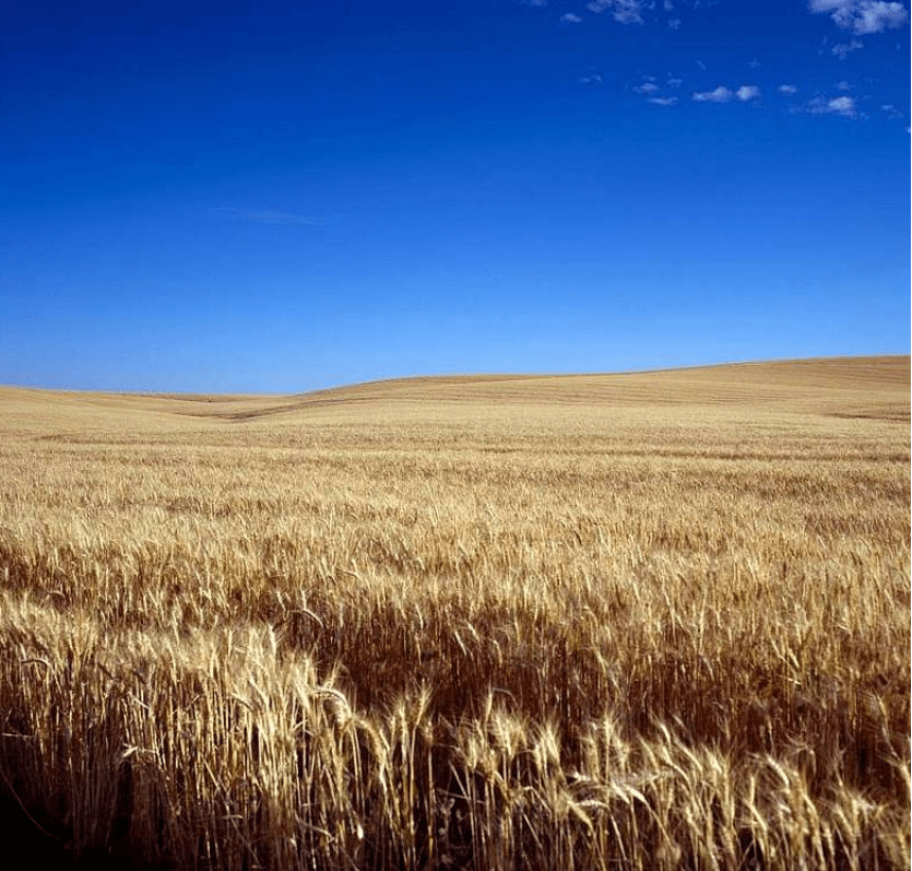 The Good News about Climate&nbsp;Change