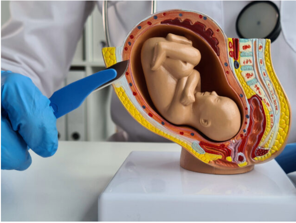 Judge Overturns North Dakota Law Protecting Unborn, Claims Abortion Is a ‘Fundamental&nbsp;Right’