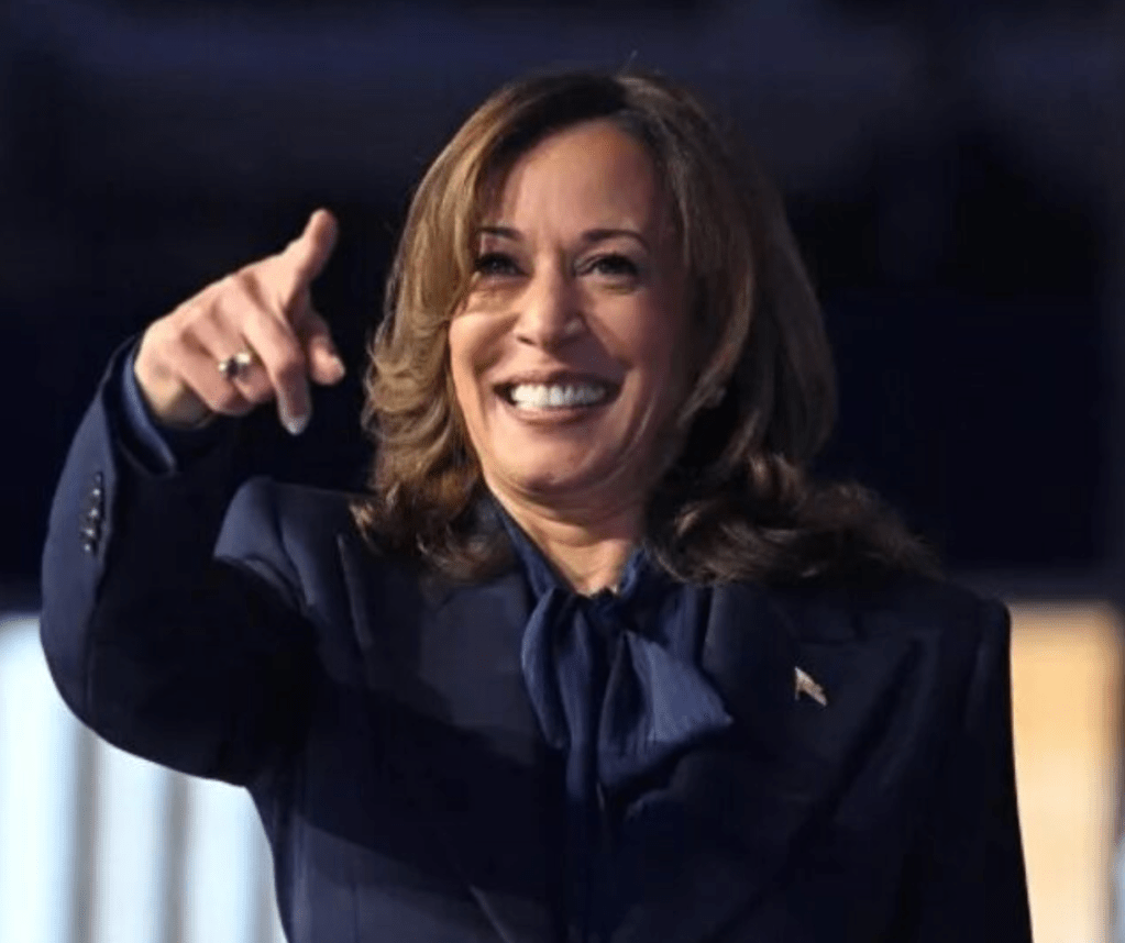 California governor? Another White House run? Camela Harris unsure of next steps after losing election:&nbsp;report