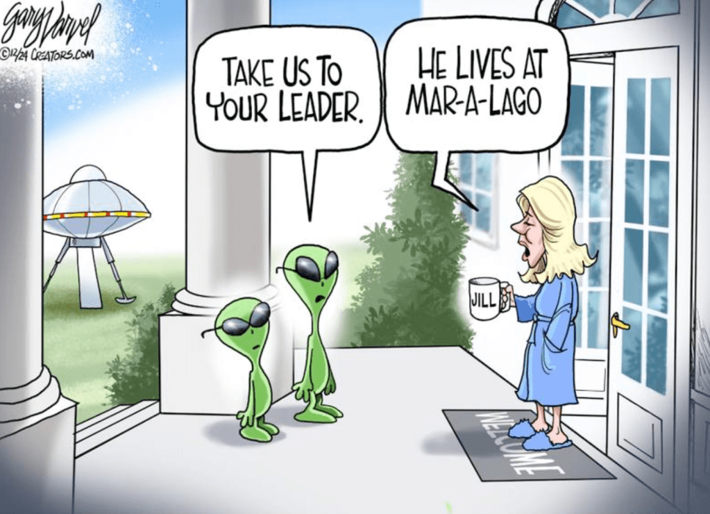 Poltical Cartoons: Early Dec.&nbsp;2024