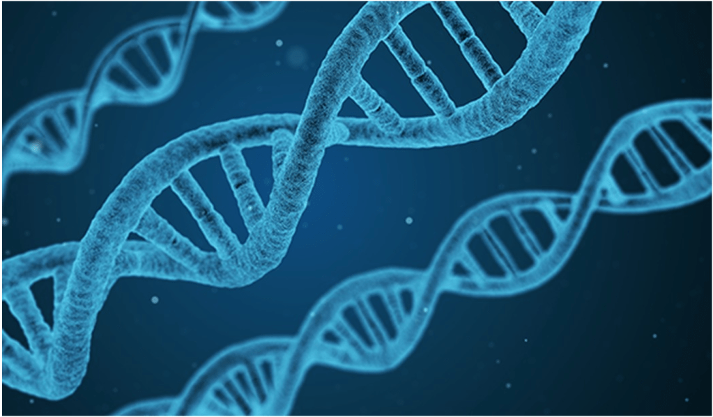 God and the&nbsp;Machine