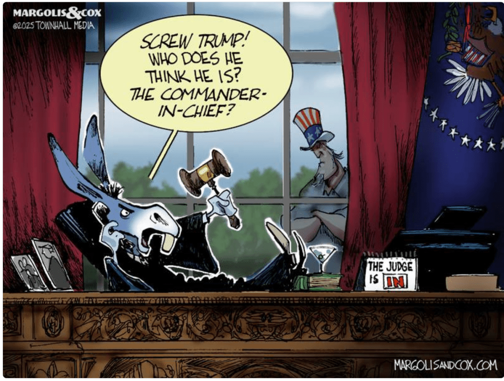 Another Judge Issues Unlawful Ruling Against&nbsp;DOGE