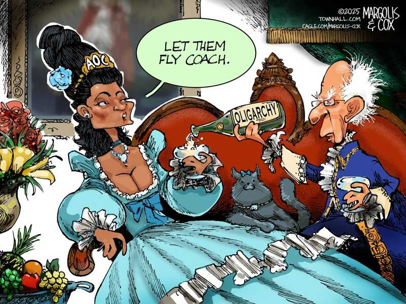 Eco-warriors AOC, Bernie Sanders took $15K-per-hour private jet to attend ‘Fighting Oligarchy’&nbsp;rally