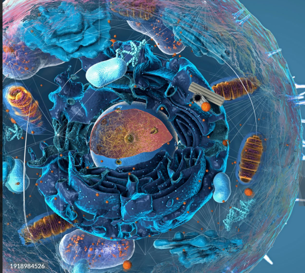 An Optimistic Solution to the Mystery of Life’s&nbsp;Origin