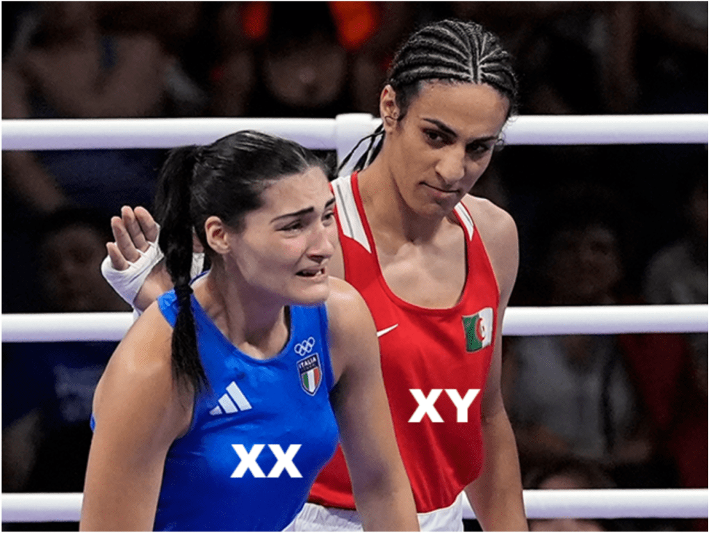 Trans Athletes Are Destroying Women’s Sports: It’s Time to Draw the&nbsp;Line