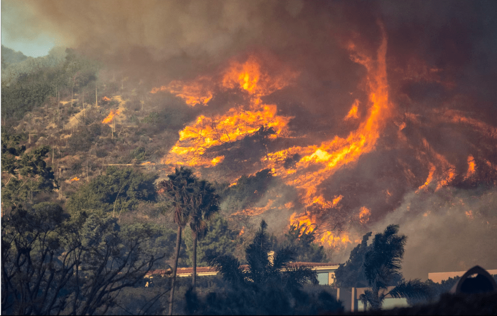 Davastating Palisades Fire result of Mayor Bass’ indifference, incompetence and democrat&nbsp;policies