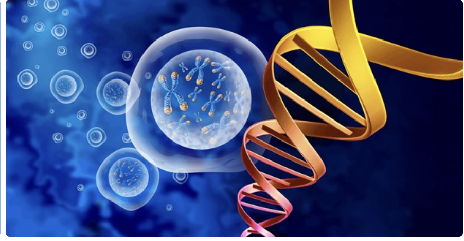 Darwinism: The Biggest Lie of Them&nbsp;All