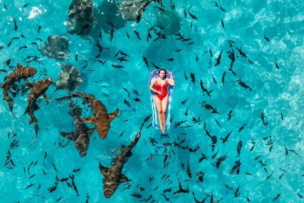 Protected: It’s all I’ve got to&nbsp;say