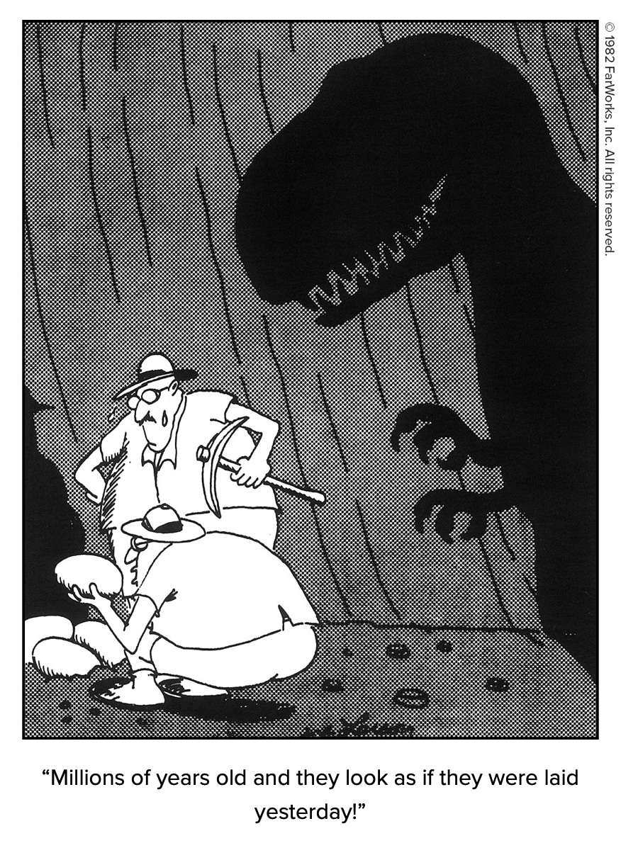 Shouting “Heresy” in the Temple of&nbsp;Darwin