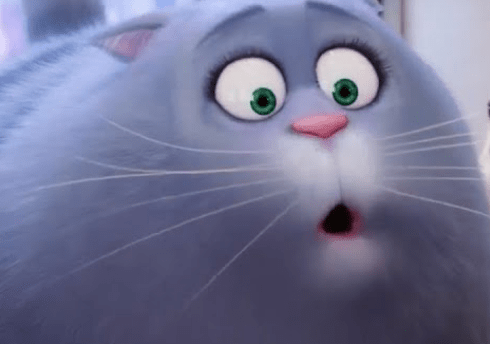 Scenes from The Secret Lives of Pets – Chloe &&nbsp;Pops