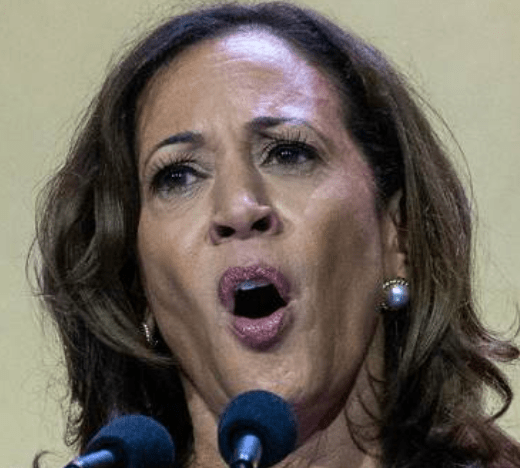 The Nightmare That Would Have Been President Kamala&nbsp;Harris